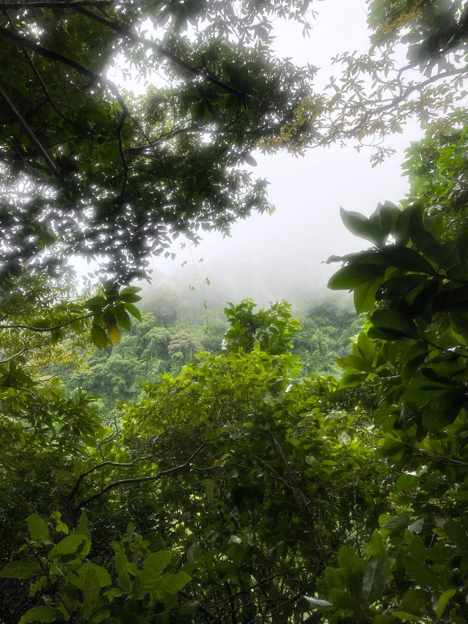 On top of Volcano Concepcion Hiking Volcano Maderas