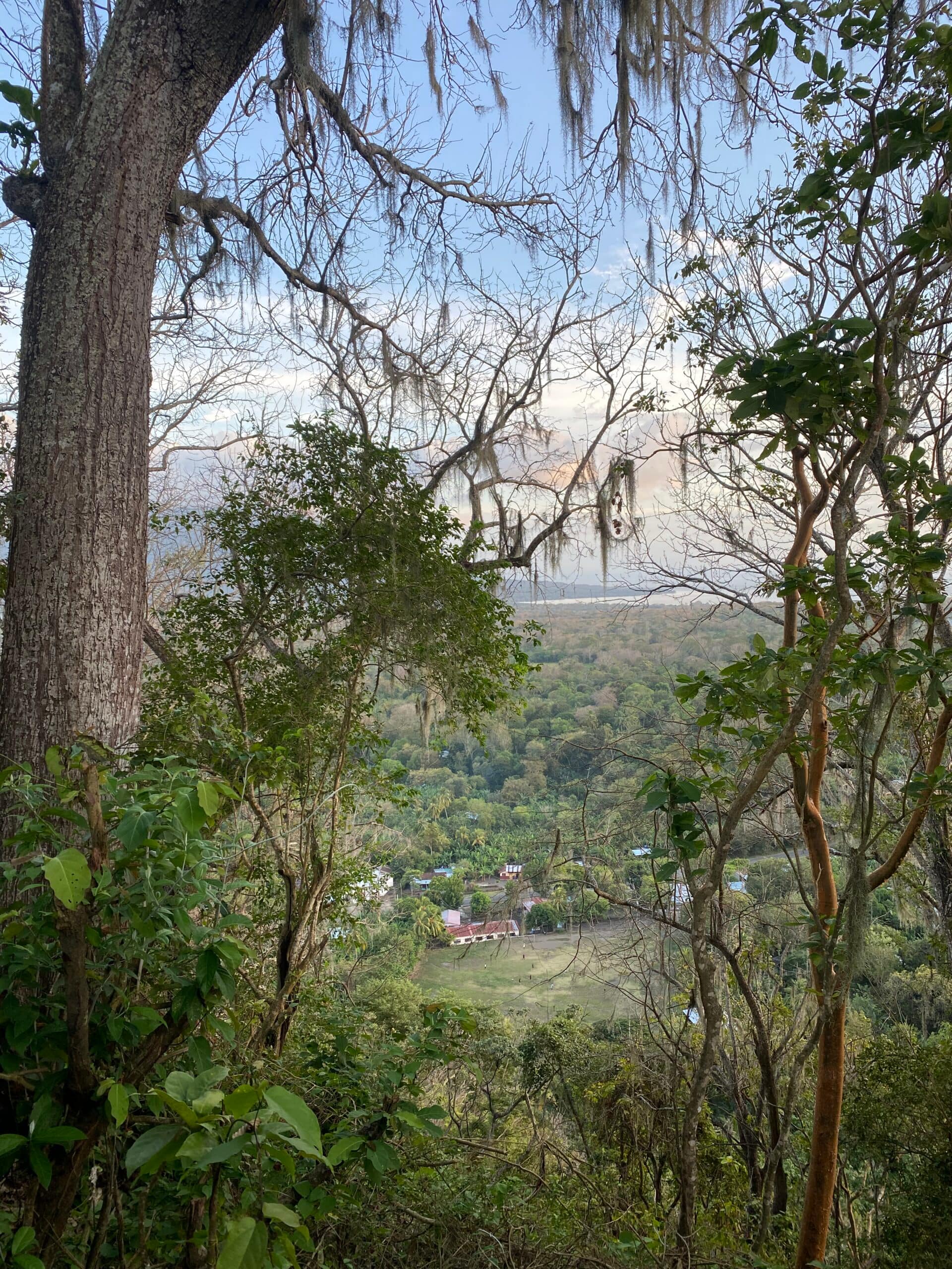 Nature Trail Little Concepcion, Sintiope Nature Trail Little Concepcion, Sintiope