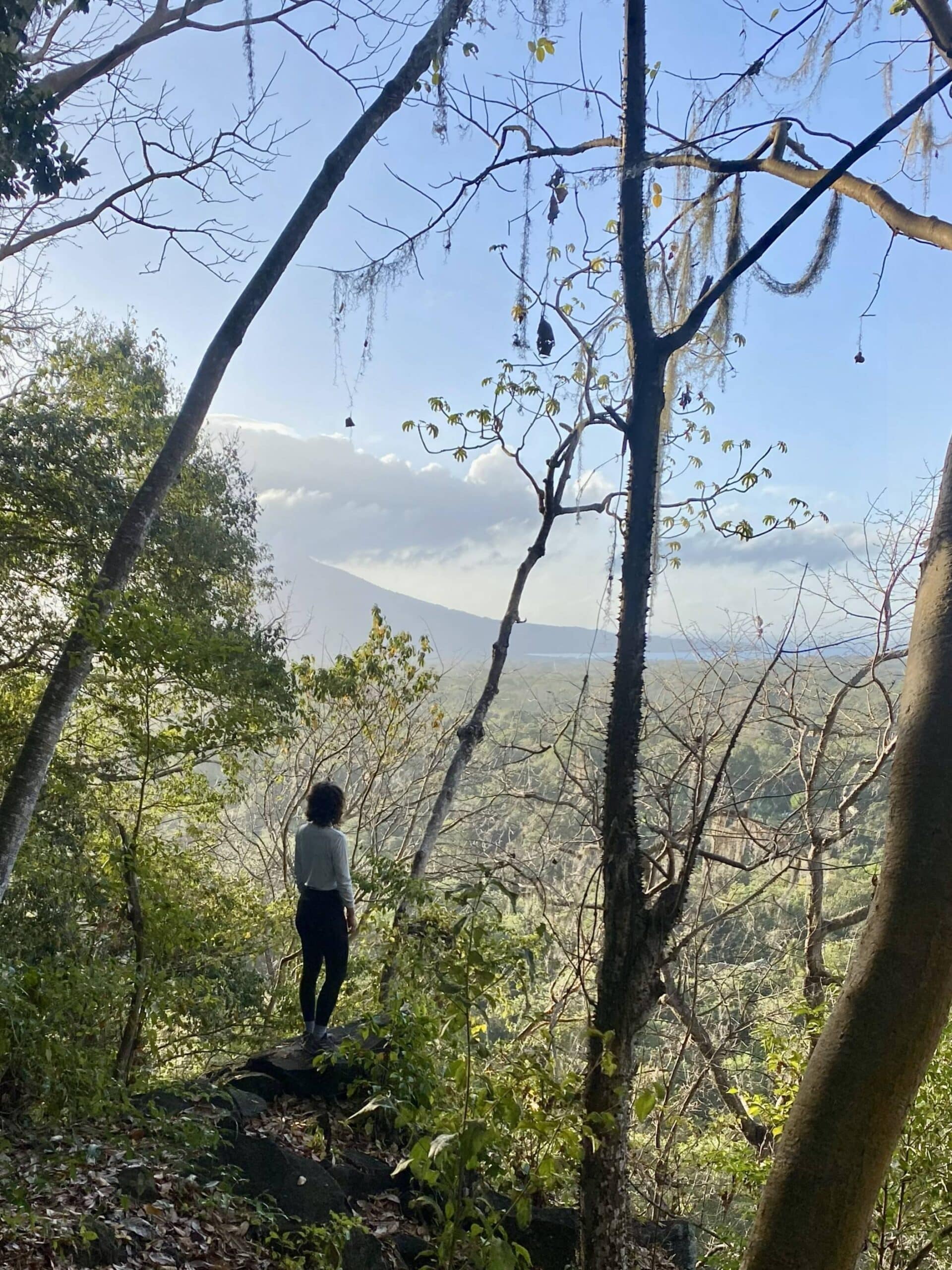 Panoramic Views from Hiking Trail Little Concepcion Panoramic view over Lake Nicaragua from the Little Concepcion hiking trail