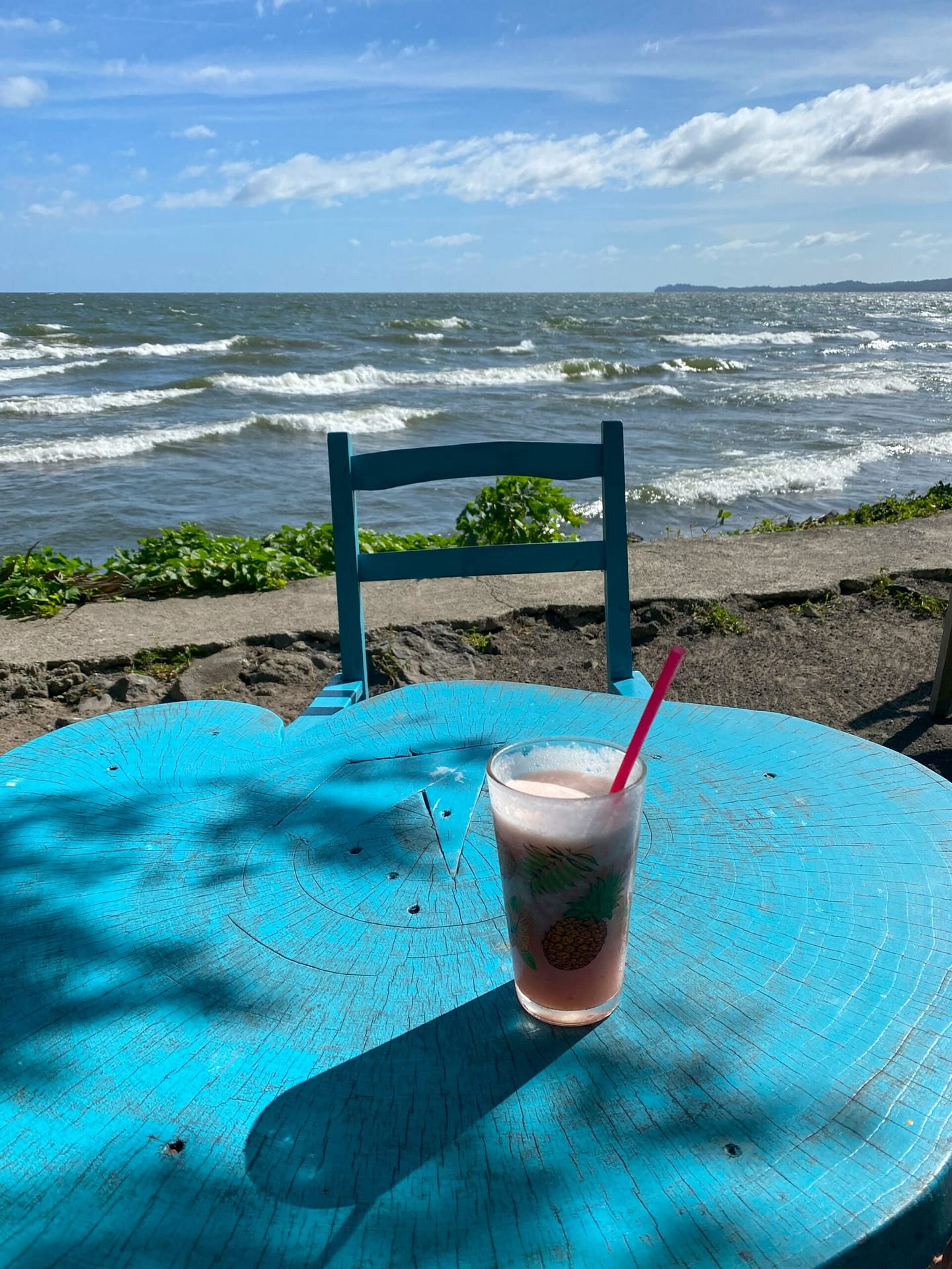 Customized Tour Isla de Ometepe